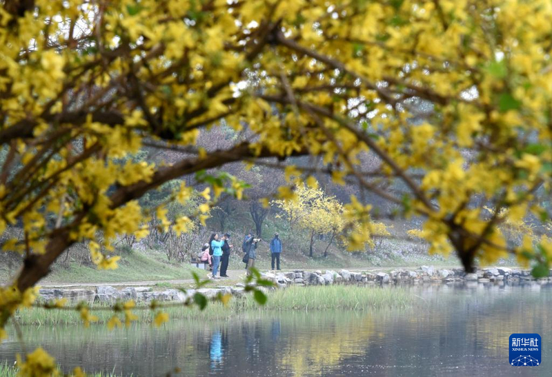 内容800 (2).jpg 内容800 (2).jpg