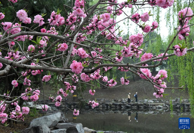 内容800 (7).jpg 内容800 (7).jpg