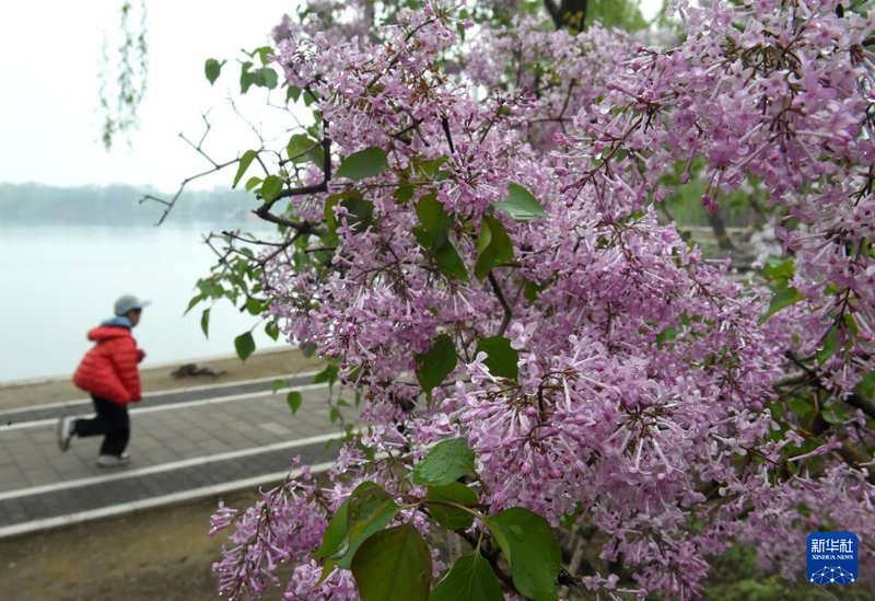 内容800 (4).jpg 内容800 (4).jpg