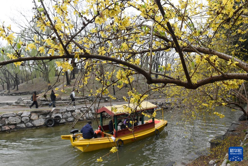 内容800 (8).jpg 内容800 (8).jpg