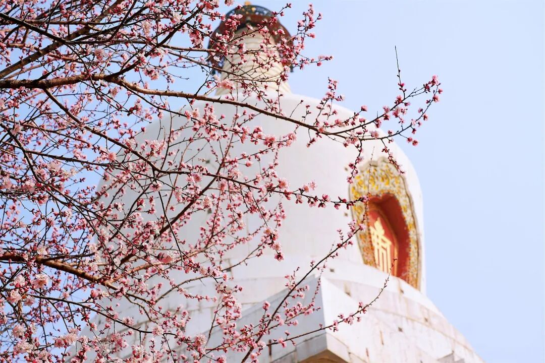 内容 图片1.png 内容 图片1.png