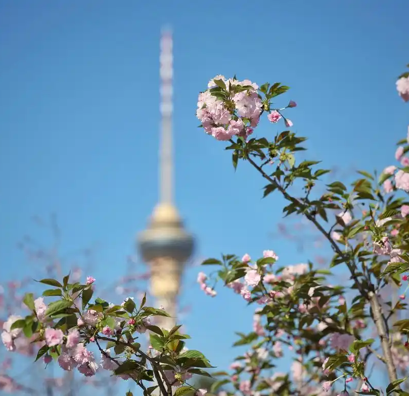 图片1 新京报.png 图片1 新京报.png