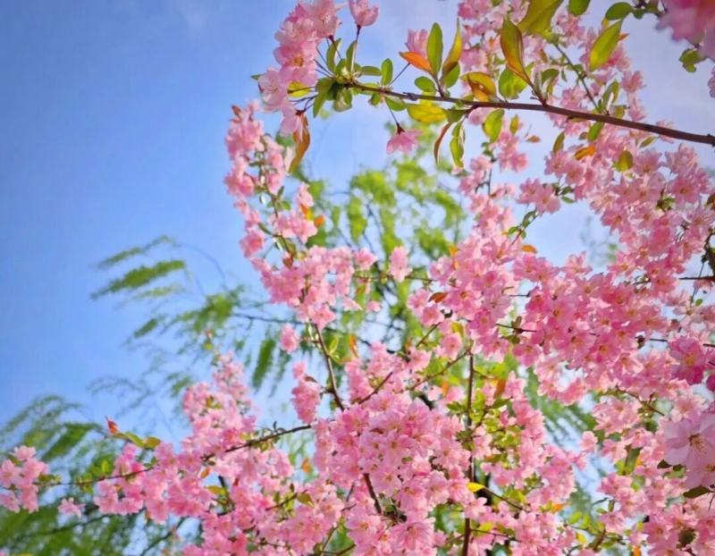 图片7.png 图片7.png